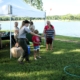 A group of people gathered under a tent next to a lake