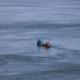 Three people paddle a canoe on a wide, flat river